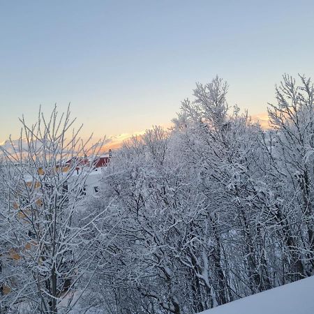 36 Sqm Studio Aparatment B Tromsø Dış mekan fotoğraf